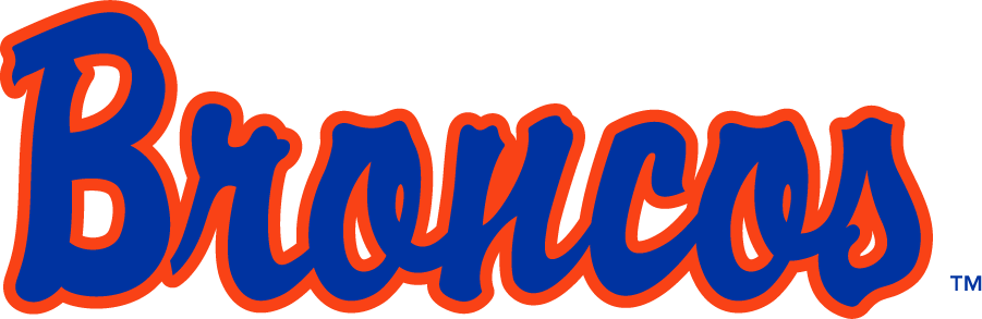 Boise State Broncos 1997-2001 Wordmark Logo v2 diy iron on heat transfer